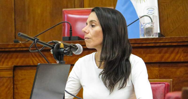 Ayala: “El Municipio debe controlar el comercio de usados: ahí puede haber negocios del delito”